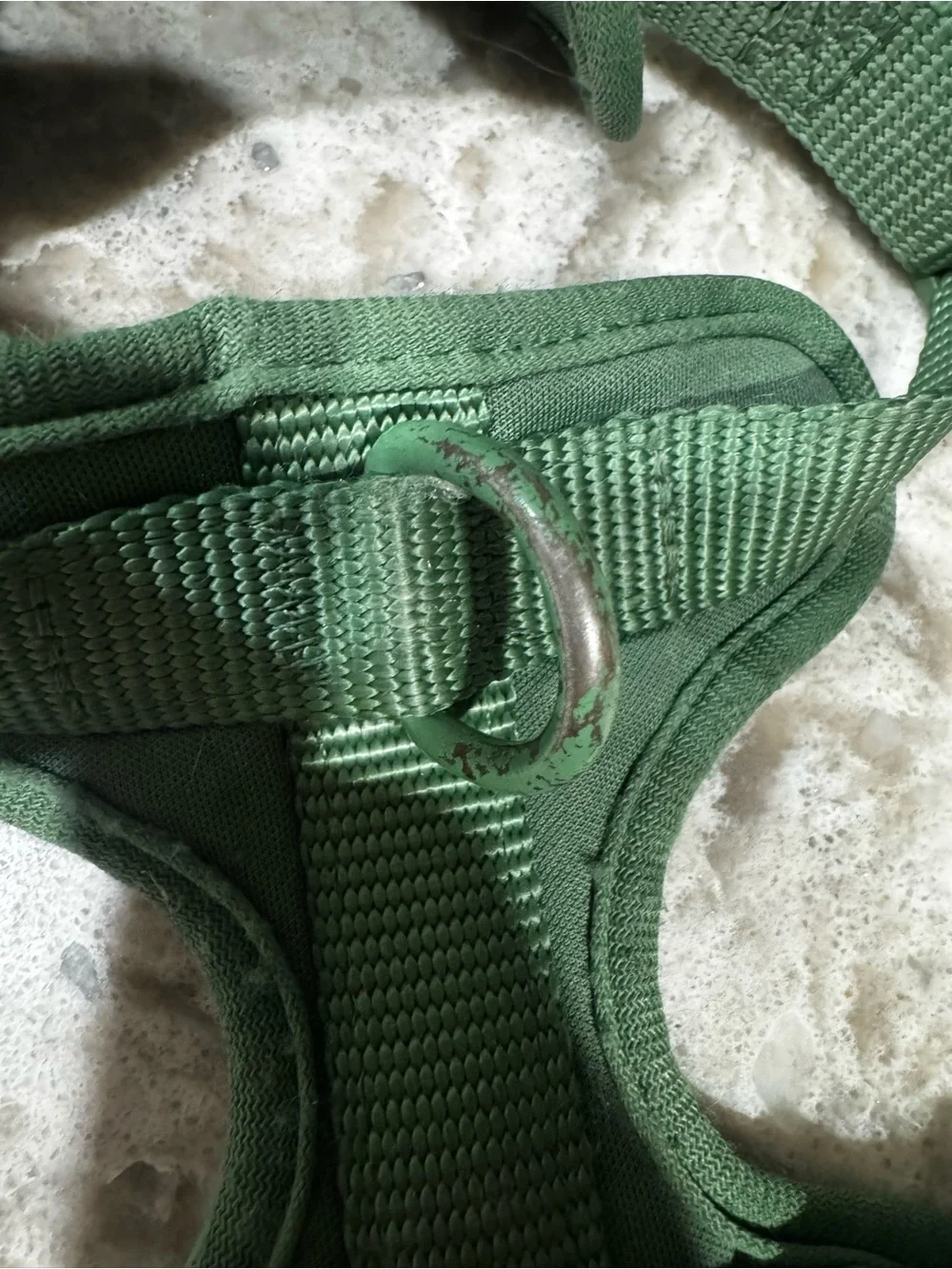 Doxie Warehouse Adjustable Green Dachshund Harness - Durable Nylon Pet Accessory